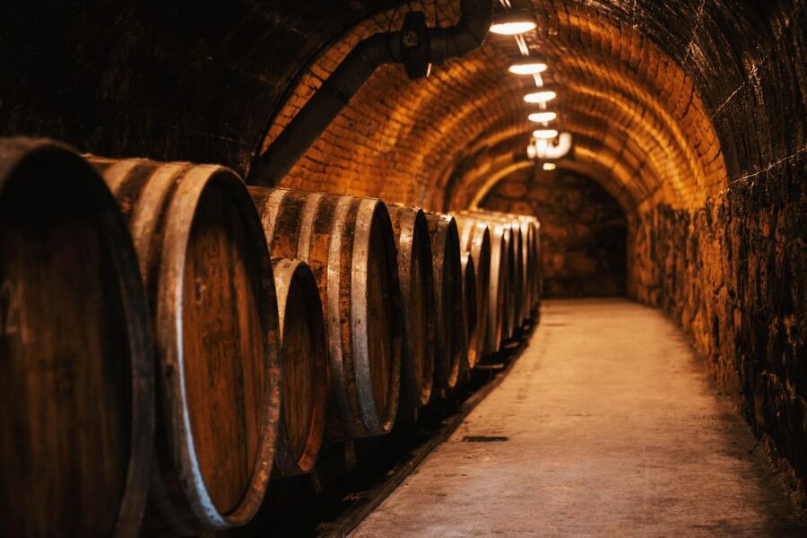 Guided wine tasting at Rókusfalvy Estate - How the $27 price compares