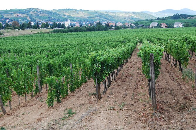 Half Day Tokaj Wine Tasting Tour in Mád Hungary with lunch - Lunch with sparkling wine in Mád