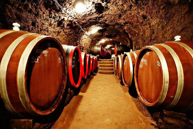 Half Day Tokaj Wine Tasting Tour in Mád Hungary with lunch - What the $289.65 price covers