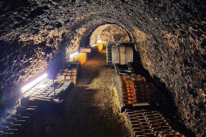 Half Day Tokaj Wine Tasting Tour in Mád Hungary with lunch - Tasting dry and sweet wines among the vines