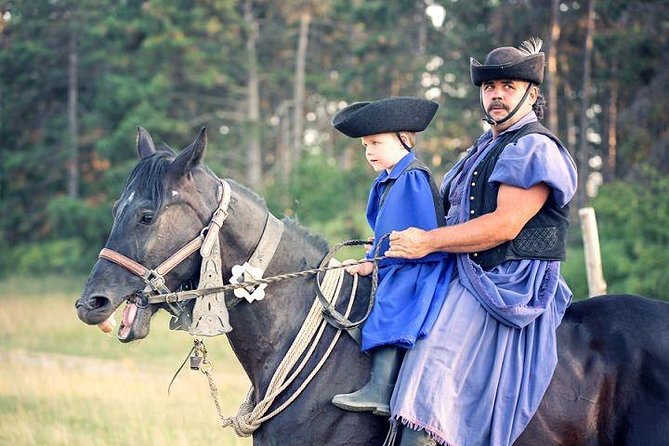 Horseshow on the Hungarian Puszta, private tour from Budapest with entry! - Key points at a glance