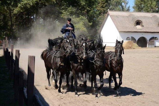 Horseshow on the Hungarian Puszta, private tour from Budapest with entry! - Why the Puszta show is worth seeing