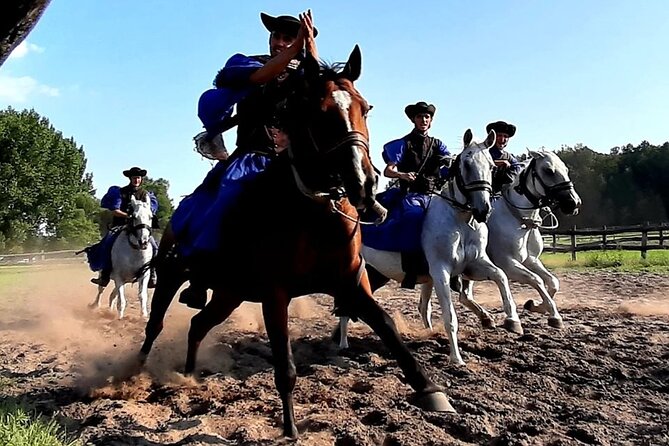 Horseshow on the Hungarian Puszta, private tour from Budapest with entry! - Visiting the stables and meeting the horses