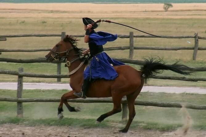 Horseshow on the Hungarian Puszta, private tour from Budapest with entry! - Hungarian lunch and wine included