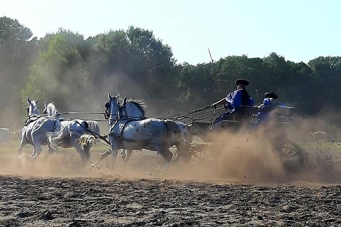 Horseshow on the Hungarian Puszta, private tour from Budapest with entry! - Who will enjoy this day most