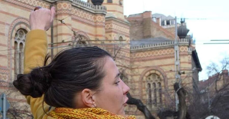 Jewish Quarter of Budapest Walking Tour - Three synagogues, one Jewish Triangle