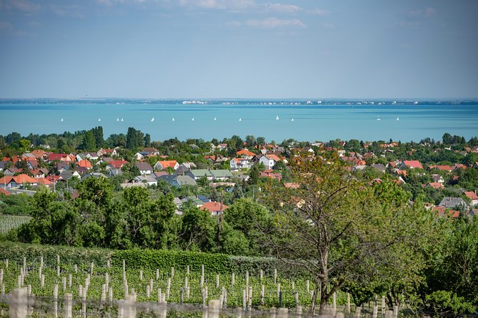 Lake Balaton Full Day Private Wine Tour - Tasting on the North Shore of Lake Balaton