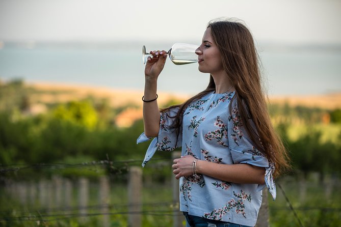 Lake Balaton Full Day Private Wine Tour - A private vehicle changes the feel of the day