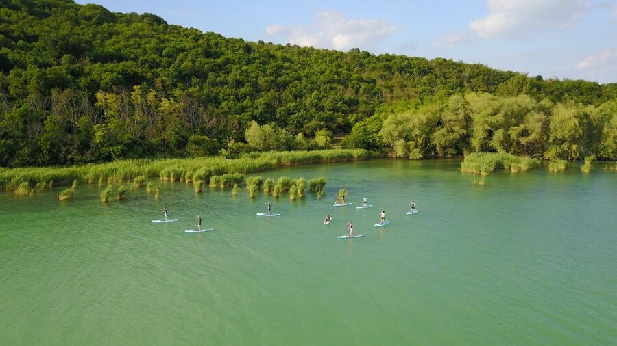 Lake Balaton: Paddle Board Tour of Tihany National Park - Starting beside the ferry at Club Tihany