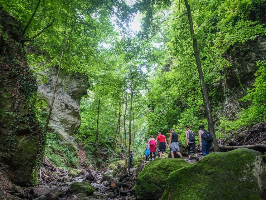One Day Wonder Hike - The Essence of the Danube Bend - What the guides add to the experience