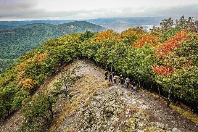 One Day Wonder Hiking Trip - The return through a quieter forest route