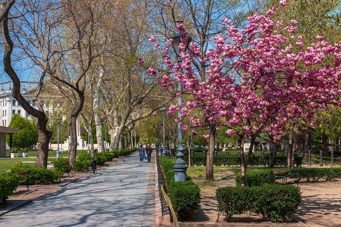 Orientation walk in Budapest - Walking conditions, pickup, and practical limits