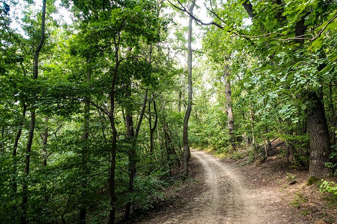 Panoramic hike around Budapest - How hard is the five-hour route?