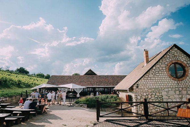 Private Etyek Wine tour with dinner including a Budapest Danube Evening Cruise - The guides can shape the experience