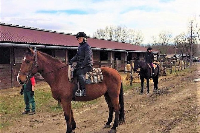 Private Horse Riding near Budapest with transport - Meeting your horse and instructor