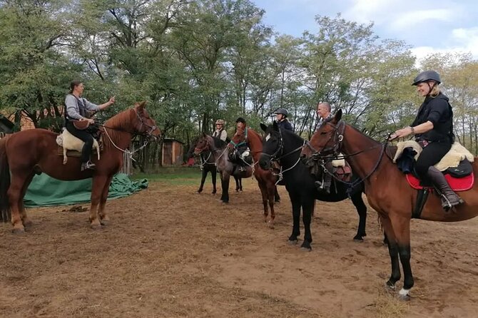 Private Horse Riding near Budapest with transport - Price, time, and practical value