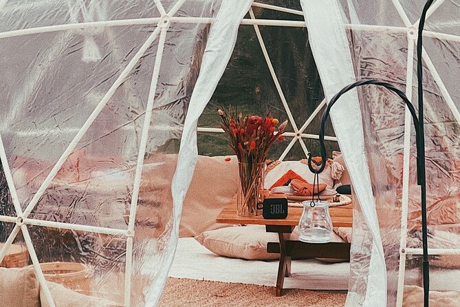 Private Igloo Picnic Experience Hungary - Games, music, and the Polaroid camera