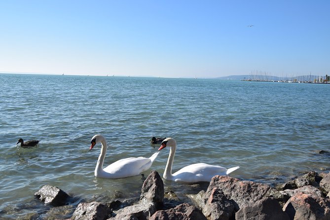 Private Lake Balaton Experience with an unforgettable Wine Tasting - What the $372.34 price really buys