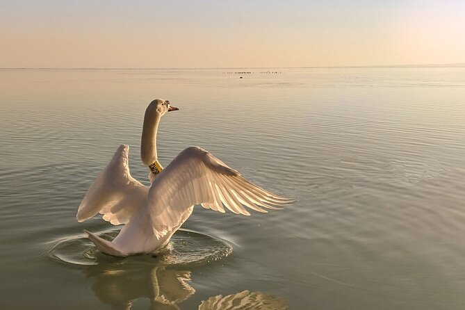 Private tour from Budapest to a top hidden treasure region of Europe: Lake Balaton - Tihany, lavender, and the northern shore