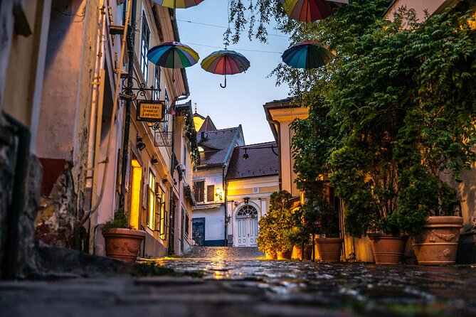 Scenic Danube River bend hills & the Art Town: Private Car Tour - Why this Danube Bend outing works so well