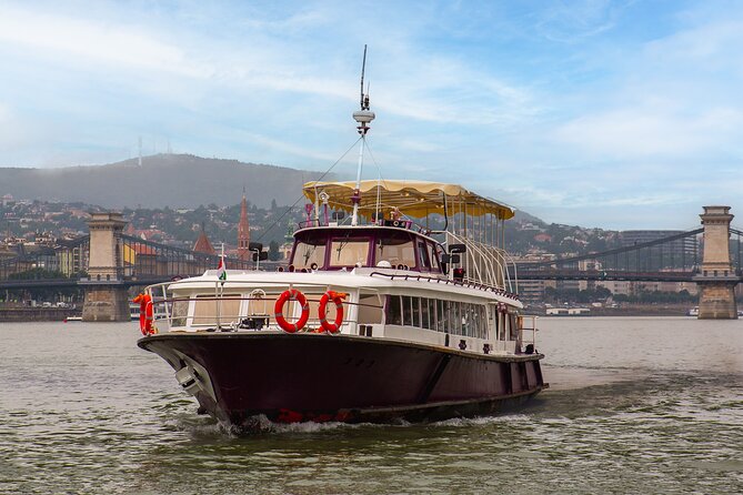 Sightseeing Cruise on the Danube with Audio Guide in Budapest - Who should book this cruise?