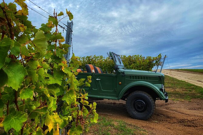 The only Wine Cocktail Club in Tokaj, Lunch & Fun, Hungary - Who will enjoy this Tokaj experience most?