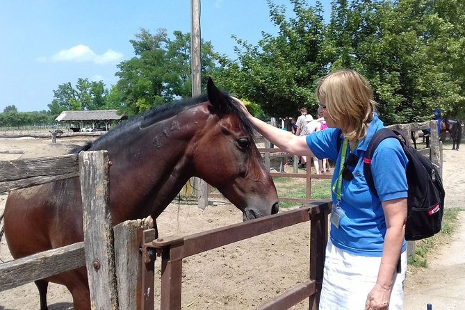The "Puszta" Horse Show - Meeting point and practical planning