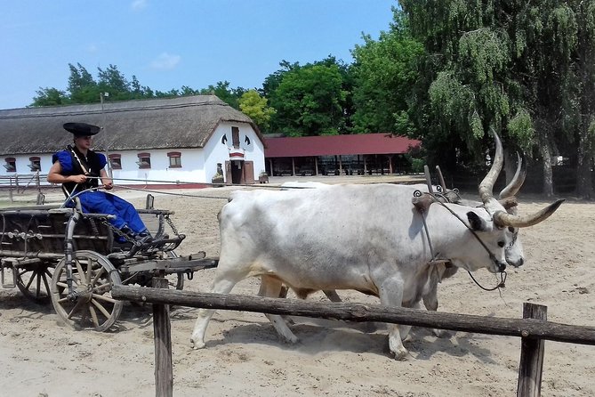 The "Puszta" Horse Show - Is $134.63 a fair price?