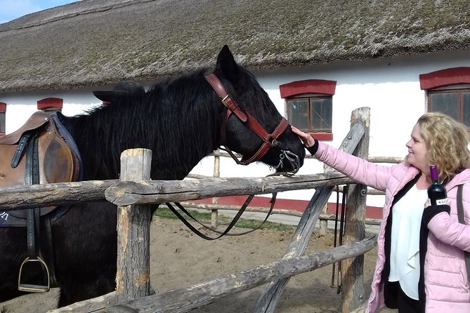 The "Puszta" Horse Show - Lajosmizse and the horse center