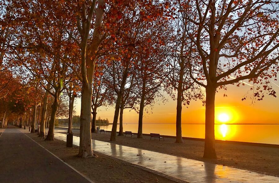 The Turquoise Sea of Hungary: Lake Balaton Private Tour - The ferry ride is a simple, memorable finale