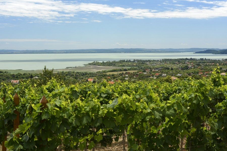 The Turquoise Sea of Hungary: Lake Balaton Private Tour - The first lake panorama sets the tone