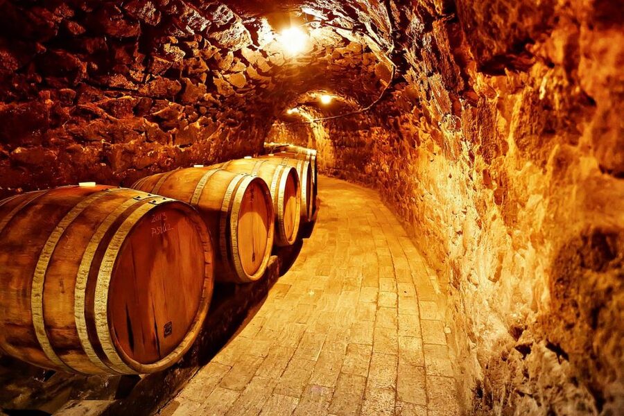 Tokaj: Classic Wine Tasting - Inside a family-owned wine estate