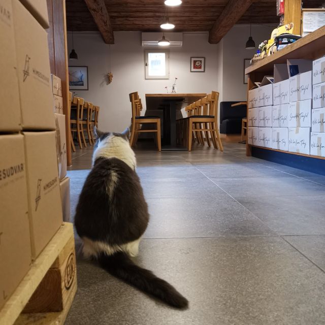 Tokaj: Classic Wine Tasting - Who will enjoy this tasting most?