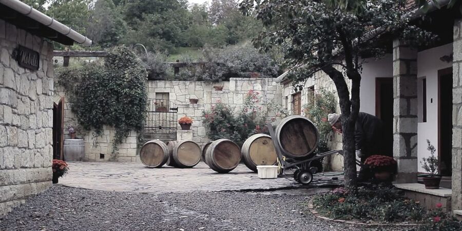 Tokaj Private Day Tour from Budapest - Why Tokaj is worth the long ride from Budapest