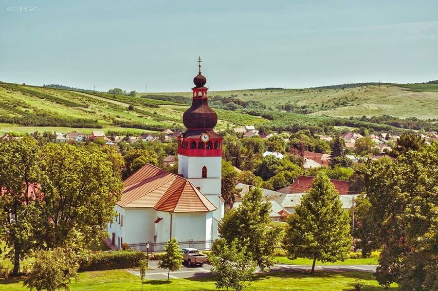 Tokaj Private Day Tour from Budapest - Mád and Bodrogkeresztúr: seeing the region beyond the bottle