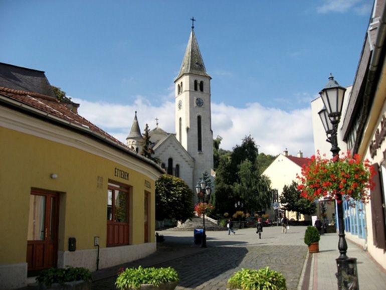 Tokaj Private Day Tour from Budapest - The possible Sárospatak castle add-on