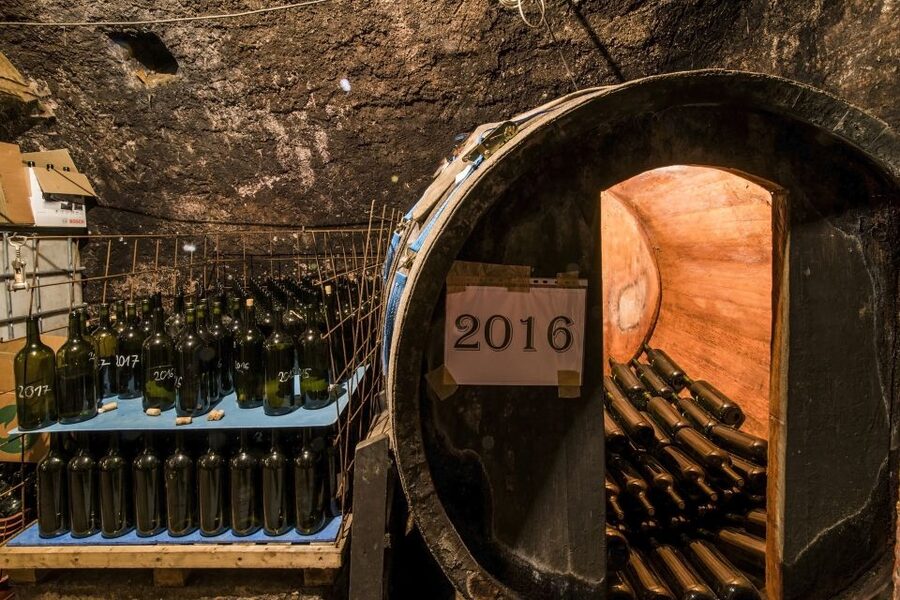 Tokaj Private Day Tour from Budapest - Who should book this Tokaj day trip