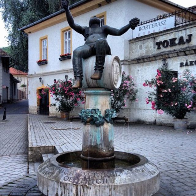 Tokaj Private Day Tour from Budapest - Practical details for making the day work
