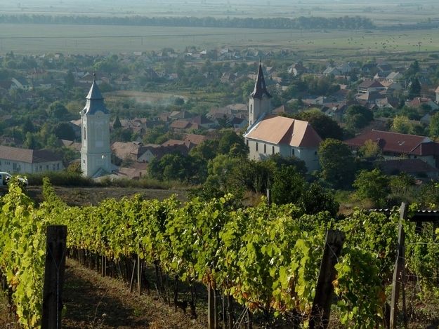 Tokaj Private Day Tour from Budapest - Leaving Budapest for the Tokaj vineyards