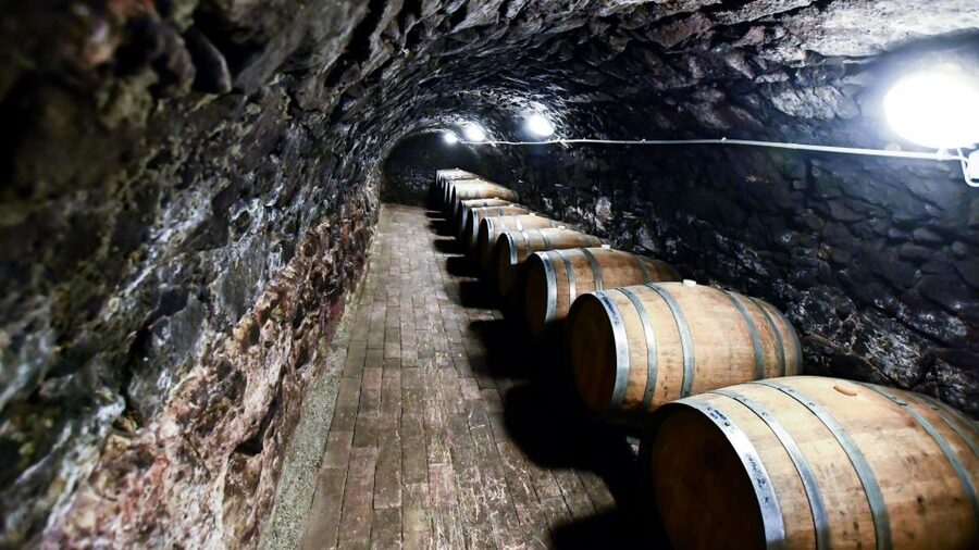 Tokaj: Vineyard Tour & Tasting - Key points at a glance