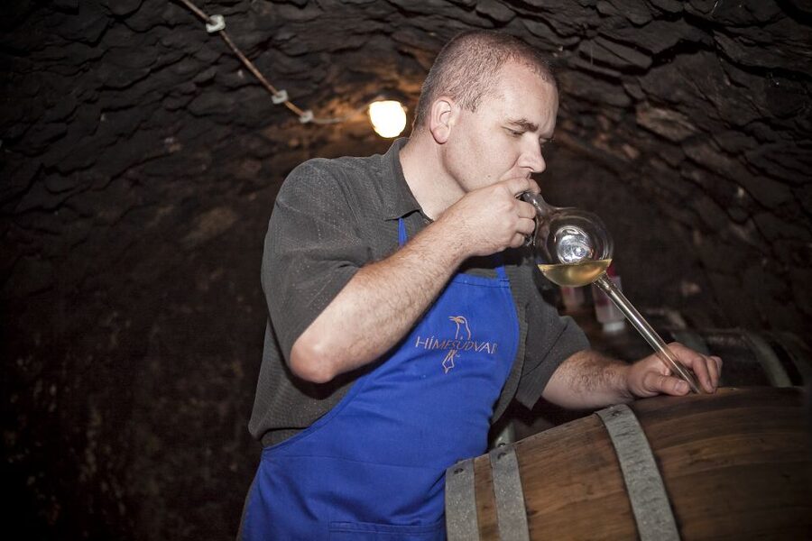 Tokaj: Vineyard Tour & Tasting - Why Tokaj wine deserves three hours