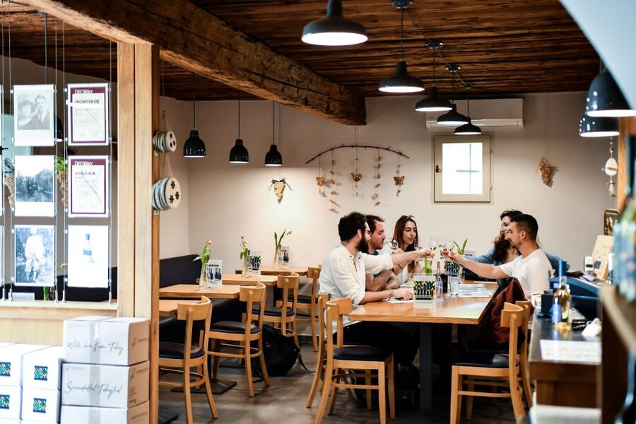 Tokaj: Vineyard Tour & Tasting - A 30-minute walk among Tokaj vines