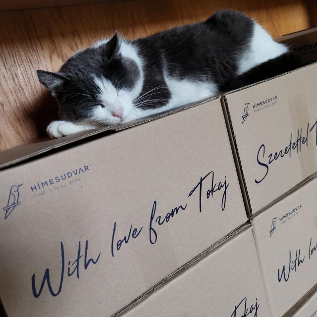 Tokaj: Vineyard Tour & Tasting - Practical advice before you go