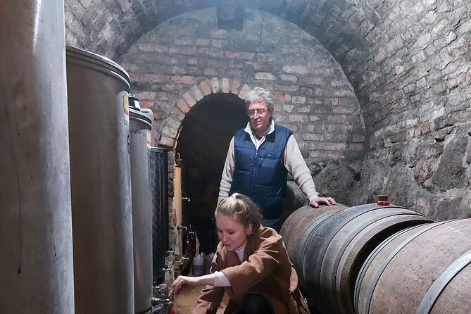 Wine Tasting in the Countryside from Budapest - Sausages, cheese, and family-made food