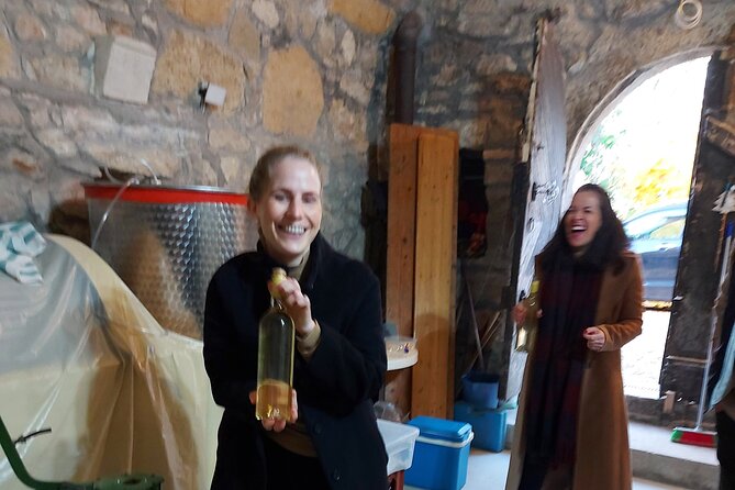 Wine Tasting in the Countryside from Budapest - Why the small group matters at $90