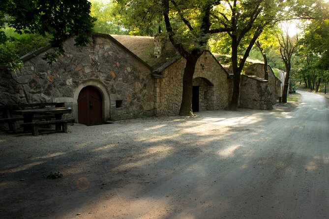 Wine Tasting in the Countryside from Budapest - Paty’s 180-year-old wine cellars